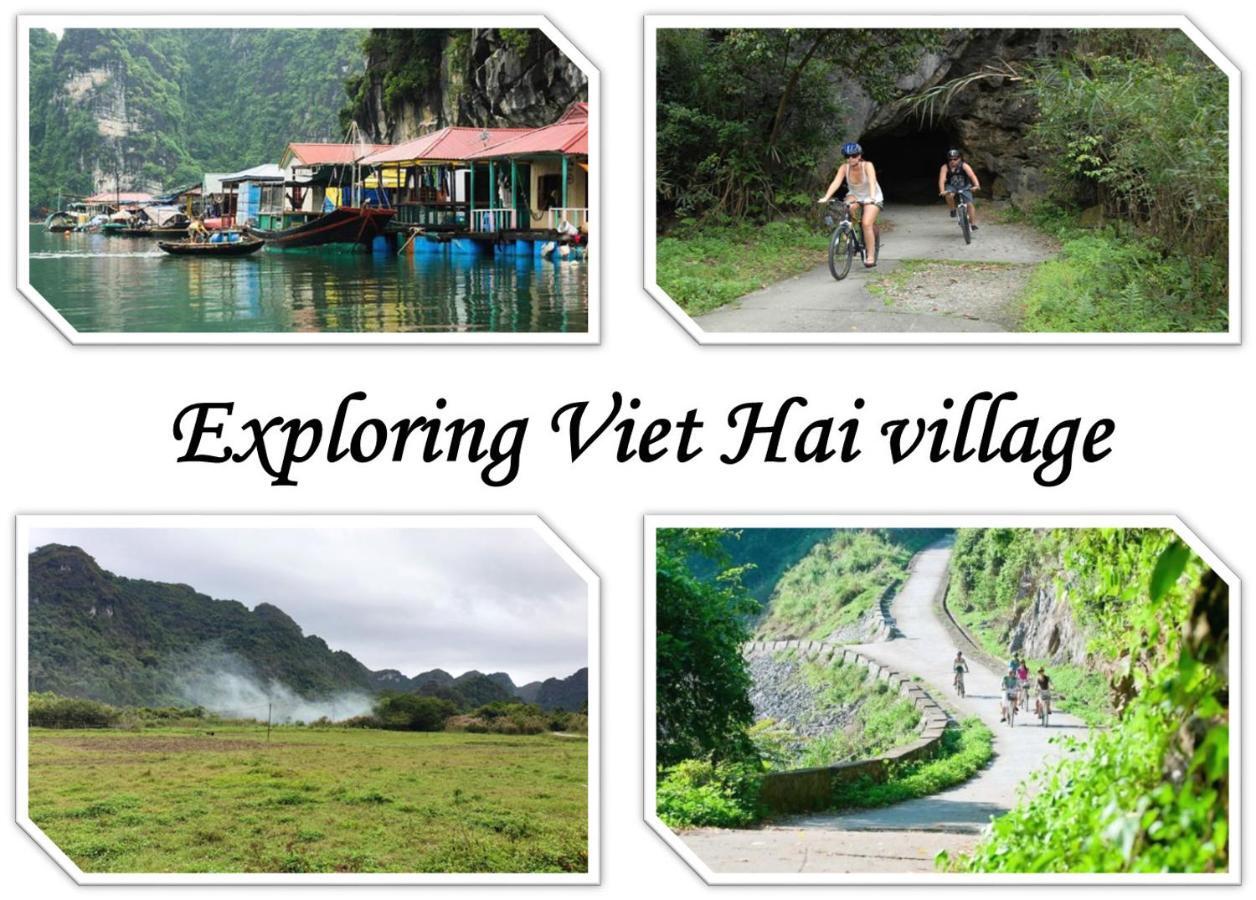 Domik Homestay - Cat Ba Dong Khe Sau Exteriér fotografie